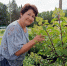 You are viewing the image with filename Image00001.jpg - Костромская ГСХА