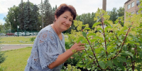You are viewing the image with filename Image00001.jpg - Костромская ГСХА