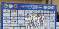 Всероссийские соревнования по каратэ «Кубок Милютина» (5-8.06.2026 г.Череповец). - Федерация каратэ