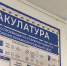 В Кирове проходит всероссийская акция по сбору макулатуры «Бумбатл» - ГТРК Вятка