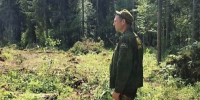 Санитарная рубка леса началась в Рузском участковом лесничестве «Мособллес» - Правительство Московской области