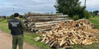 Преступление произошло в районе гаражного кооператива на улице Молодёжной в селе Бронница. - Новгородские Ведомости