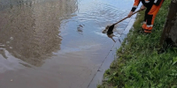 Водопропускные решетки чистят от мусора в Ижевске - ИА Удмуртия