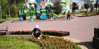 В Калуге высадят более 230 тысяч цветов - Калужская неделя