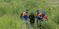 Из леса в Кировском районе вывели заплутавшего пенсионера - ЛенТВ24