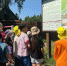 Воспитанники Каложицкого ресурсного центра познакомились с природой Радоновых озер - Online47.Ru