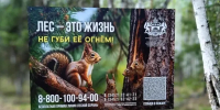 В Тюменской области с начала пожароопасного сезона ликвидировали 58 лесных пожаров - MegaTyumen.Ru