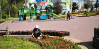 В Калуге высадят более 230 тысяч цветов - Городская управа