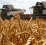 Власти Ростовской области запросили 60 тысяч тонн топлива для аграриев - Панорама