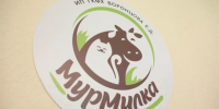 Продукция сыроварни «МурМилка» вновь заслужила высокую оценку авторитетного жюри! - Администрация Сергиево-Посадского района