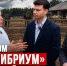 Конный дом «Эквилибриум» под угрозой уничтожения - КПРФ