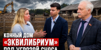 Конный дом «Эквилибриум» под угрозой уничтожения - КПРФ