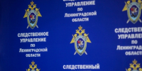 В Ленинградской области юноше предъявлено обвинение в совершении террористического акта - Следственный комитет