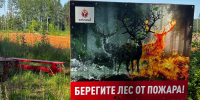 Киришское лесничество напоминает о правилах безопасности - Сетевое издание Киришский факел