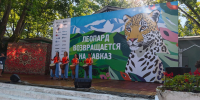 В Сочи фестиваль леопарда собрал сотни жителей и гостей курорта   - Sochi.Com