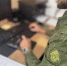 В Курске перед судом предстанет индивидуальный предприниматель, обвиняемый в совершении мошенничества - Следственный комитет