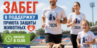Благотворительный забег в поддержку приюта для животных пройдет в Тихвине - Online47.Ru