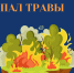 ... - Жердевская ЦРБ