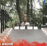 Изображение из канала Михаила Ведерникова в MAX - InformPskov.Ru