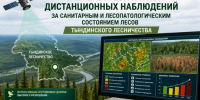 ПОДВЕДЕНЫ ИТОГИ ДИСТАНЦИОННЫХ НАБЛЮДЕНИЙ ЗА САНИТАРНЫМ И ЛЕСОПАТОЛОГИЧЕСКИМ СОСТОЯНИЕМ ЛЕСОВ ТЫНДИНСКОГО ЛЕСНИЧЕСТВА - Рослесозащита
