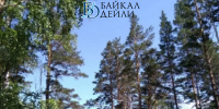 В Бурятии унялись все лесные пожары - ИА Байкал-Daily