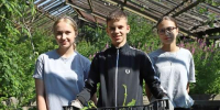В проекте "Трудовые отряды подростков города Иркутска" уже участвуют 37 человек - Baikal24.Ru