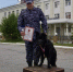 Кинологический тандем из Магадана завоевал бронзу на соревнованиях Восточного округа Росгвардии - Kolyma.Ru