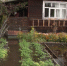 001-2026-07-15-sad.jpg - Ozersk74.Ru
