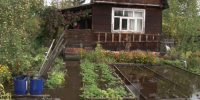 001-2026-07-15-sad.jpg - Ozersk74.Ru