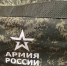 Добровольцы СВО из Сибири смогут поступить в вузы на льготных условиях - Gorsite.Ru