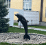 Горько! В «Черном дельфине» женился Казанский стрелок Ильназ Галявиев - Yuzh-Ural.Ru