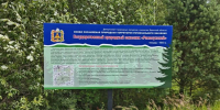 В Почепском районе обозначили границы двух уникальных природных территорий - БрянскToday.Ru