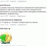 Музей истории Братскгэсстроя и кинотеатр «Романтик» в Братске закрыли на капремонт - Братская Студия Телевидения