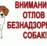 В Назаровском округе продолжаются мероприятия по отлову безнадзорных собак. - Администрация