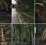 Снимок экрана 2026-07-16 в 08.42.22.png - Городской округ Отрадный