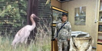 Спасенный в якутской тундре стершонок Удьуор вновь встретился со своим спасителем - Якутское-Cаха ИА