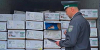 В Петербурге и Ленобласти Россельхознадзором проконтролирован импорт 6,5 тысячи т продукции - 47Channel.Ru