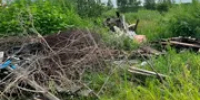 В Башкирии в лесу нашли свалку веток и старой мебели - Башинформ