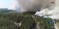 Площадь лесных пожаров в Югре за сутки сократилась почти на 95 процентов - СургутИнформТВ