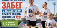Благотворительный забег в поддержку приюта «Защита животных» состоится в Тихвине 26 июля - ЛенТВ24