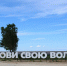 В Липином Бору по нацпроекту благоустроили берег Белого озера - Региональное Агентство Новостей