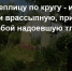 Облила теплицу по кругу - и муравьи побежали врассыпную, прихватив с собой надоевшую тлю: "чудо" из аптеки за копейки - работает мощно - Prochepetsk.ru
