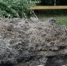 Вода1 - OrelTimes.Ru
