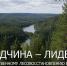 Вологодская область – лидер по искусственному лесовосстановлению среди регионов СЗФО - Региональное Агентство Новостей