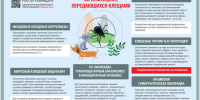 Об эпидситуации по клещевому вирусному энцефалиту и другим инфекциям, передающимся клещами - Роспотребнадзор