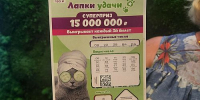 Кот с огурцами помог жительнице Мордовии выиграть 15 млн рублей - Агентство Информационных Сообщений