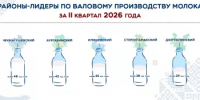 В Башкортостане подвели итоги развития молочного скотоводства за первое полугодие 2026 года - Министерство сельского хозяйства