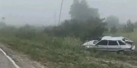 В Кузоватовском районе ВАЗ опрокинулся в кювет. Водитель погиб - Ulpravda.Ru