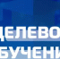Целевое обучение — путь к востребованной профессии - Комитет по науке и высшему образованию