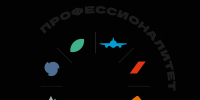 Более половины молодых людей в возрасте от 18 до 24 лет знают о программе «Профессионалитет» - Администрация города